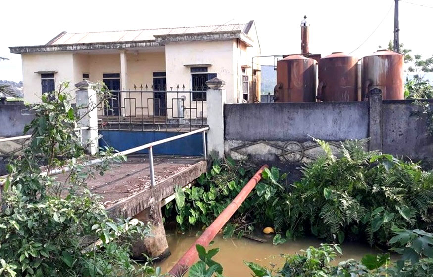 Thông tin từ đường dây nóng